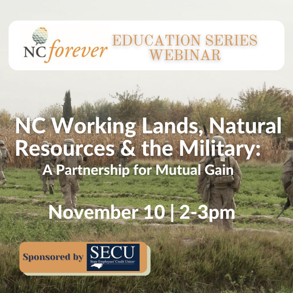 November 10 2-3pm