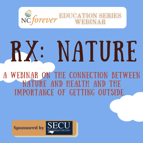 RX nature feature image