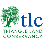 TLC TLC