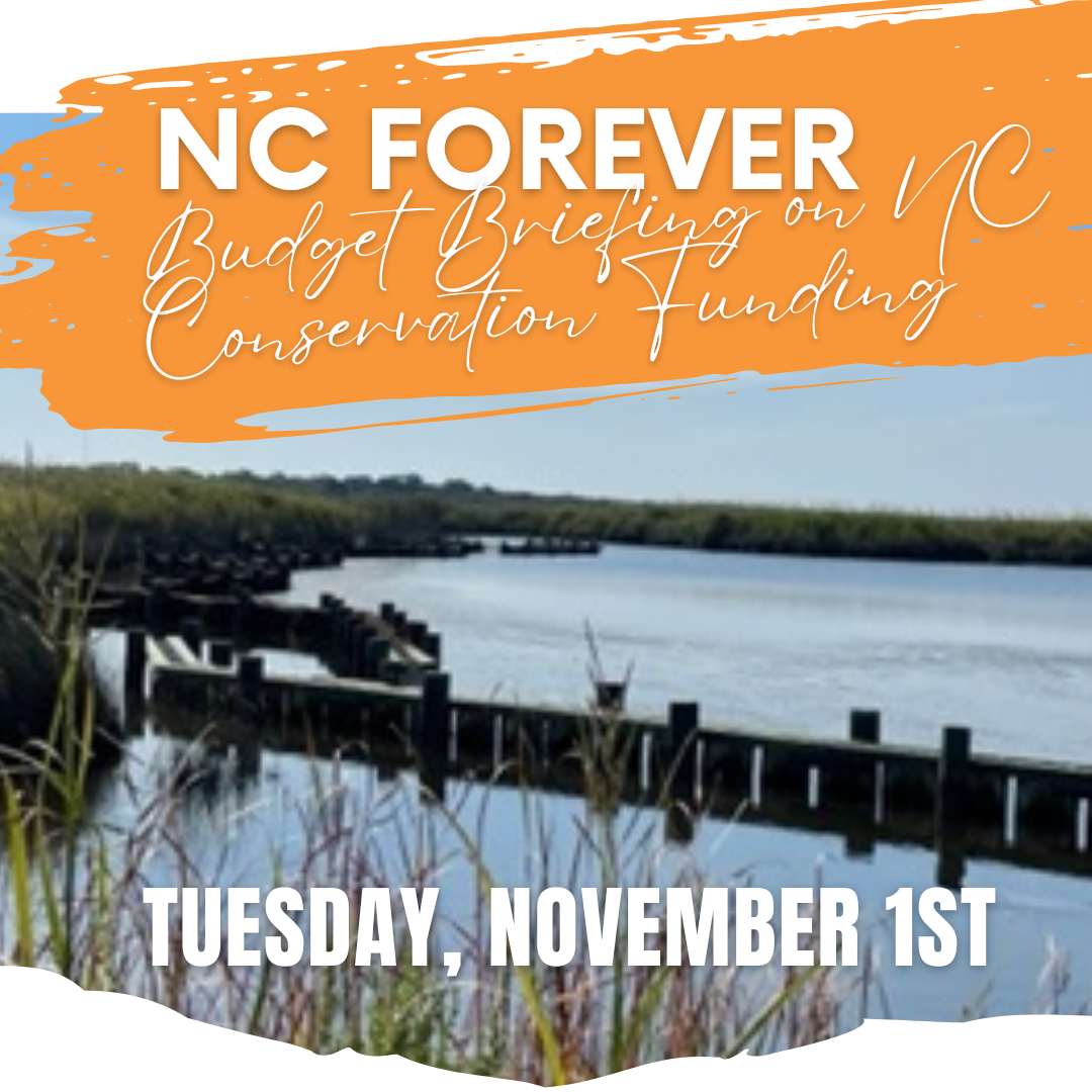 tuesday, november 1st from 3-430pm